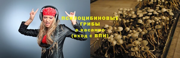 тгк Богданович